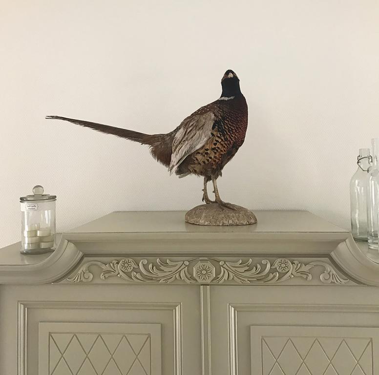 Vita Huset B&B Soelvesborg Екстер'єр фото